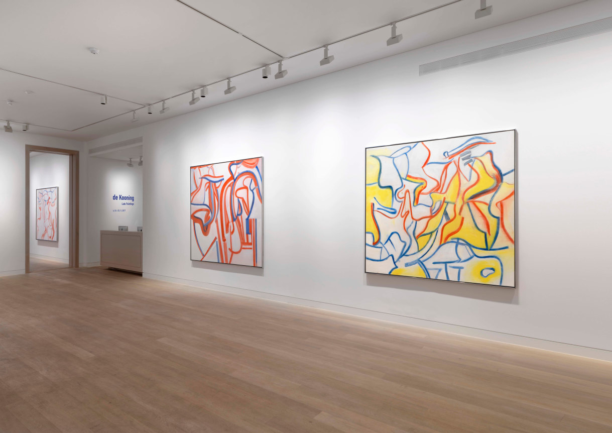de Kooning Installation View