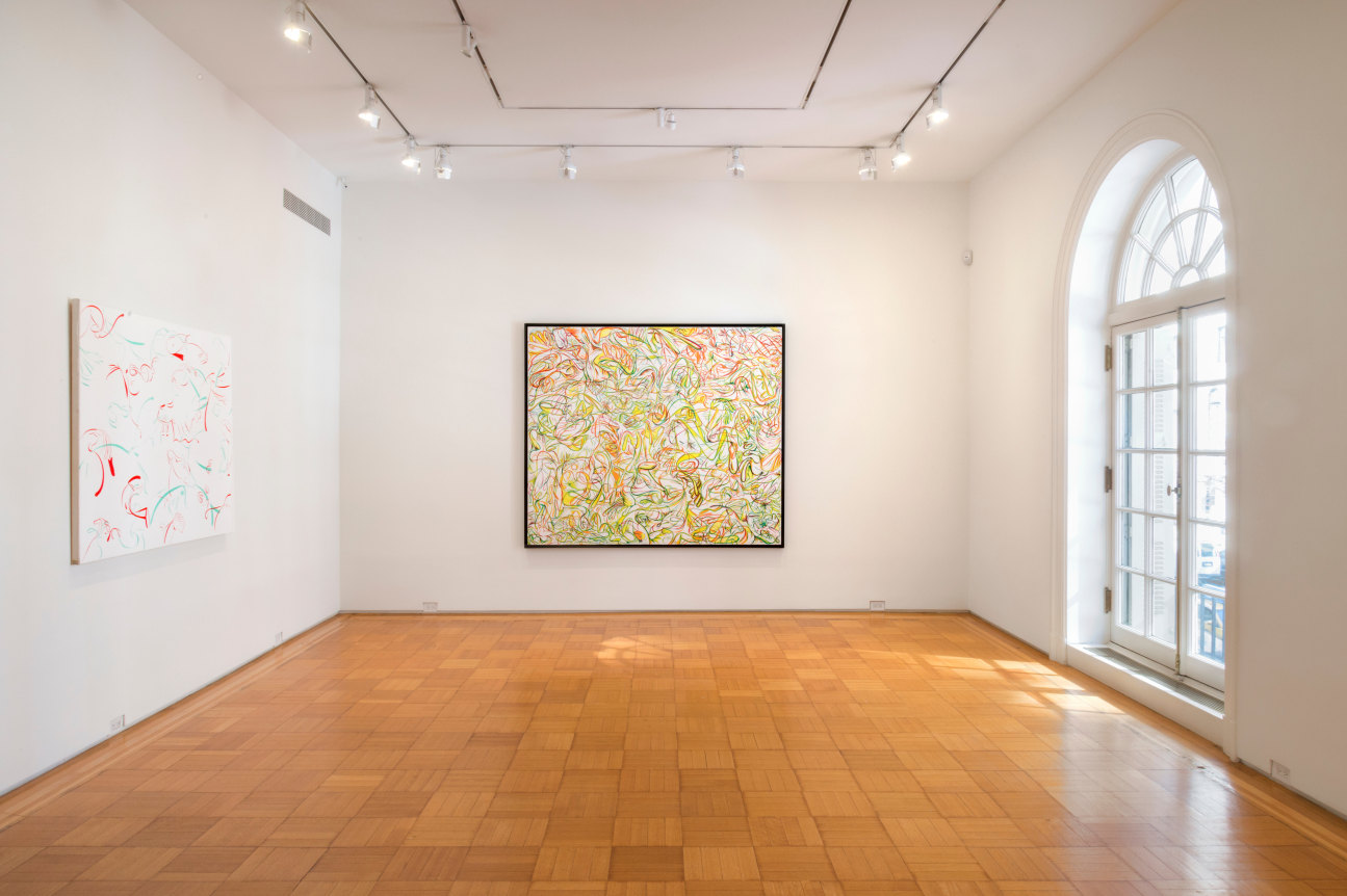 Installation View Sue Williams New York