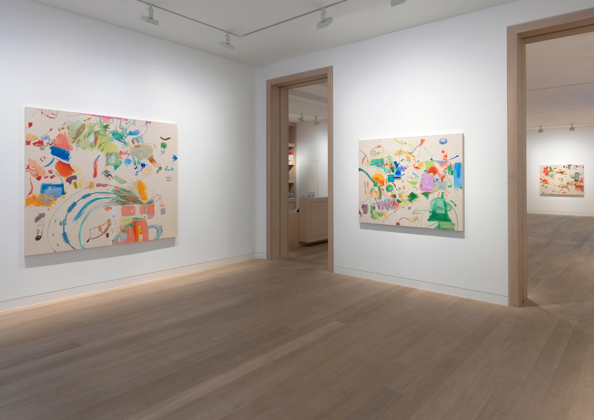 Installation View Sue Williams London