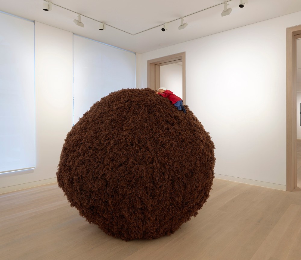 Installation View Rosemarie Trockel