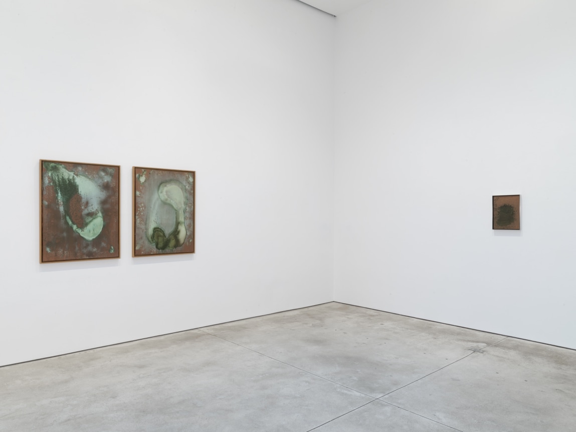 Andy Warhol: Oxidation Paintings