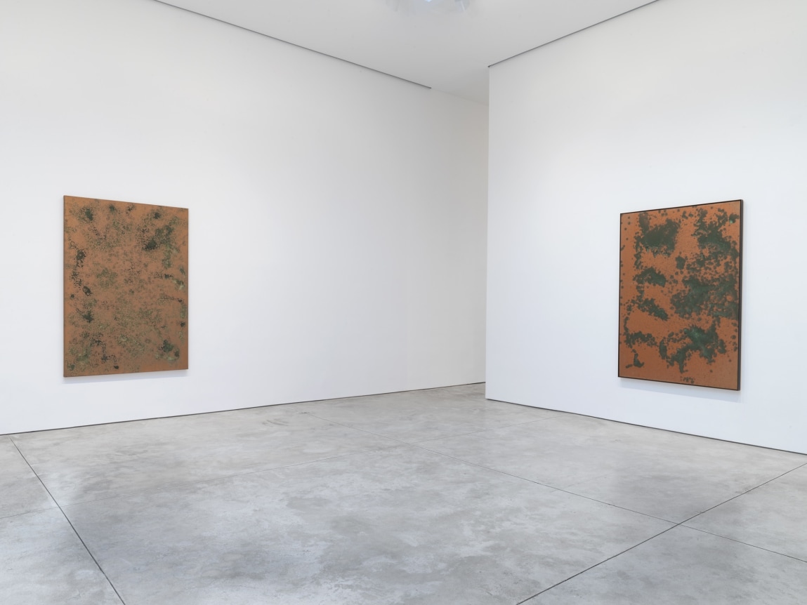 Andy Warhol: Oxidation Paintings