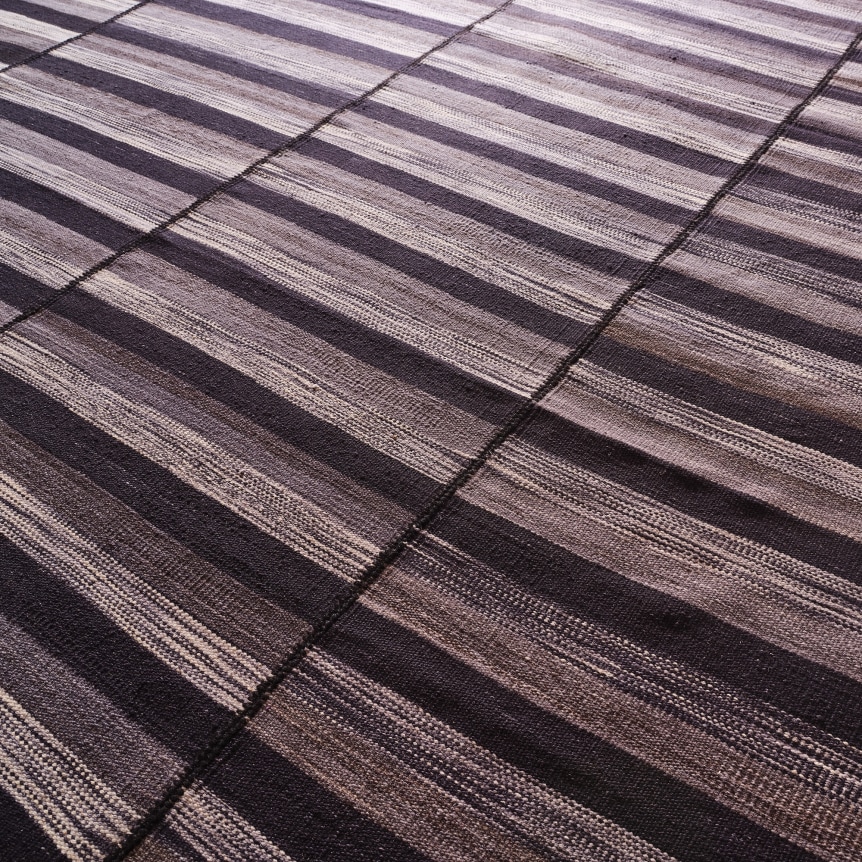 close up detail of the kia sar