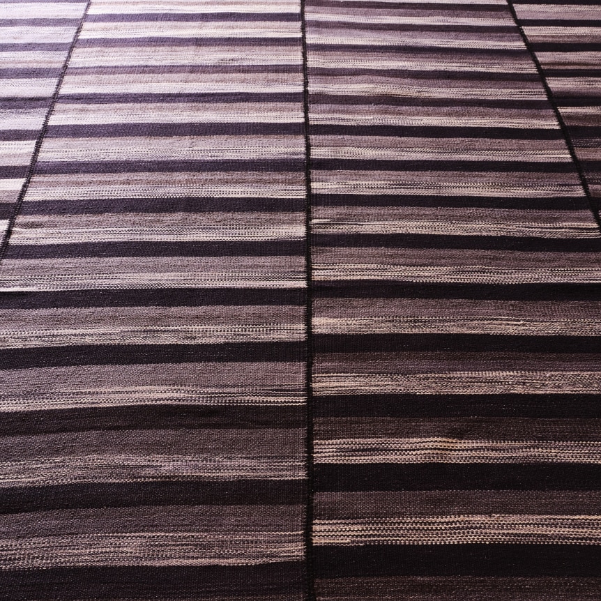 close up detail of the kia sar