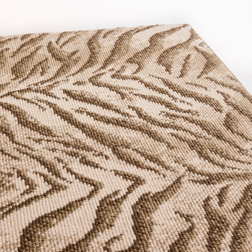 close up of etosha sample