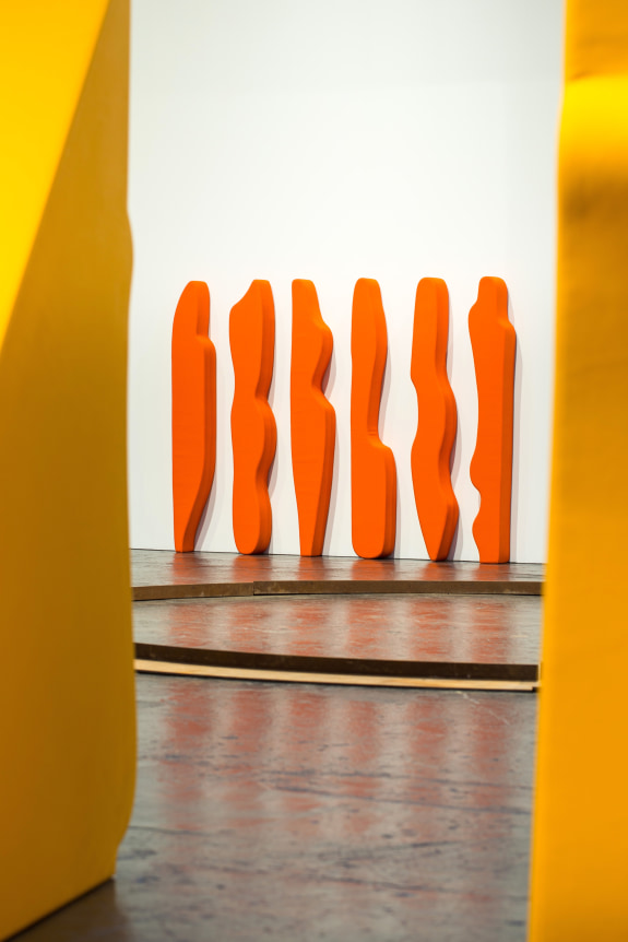 The Body Decides, Curated by Elena Filipovic and Alexis Vaillant