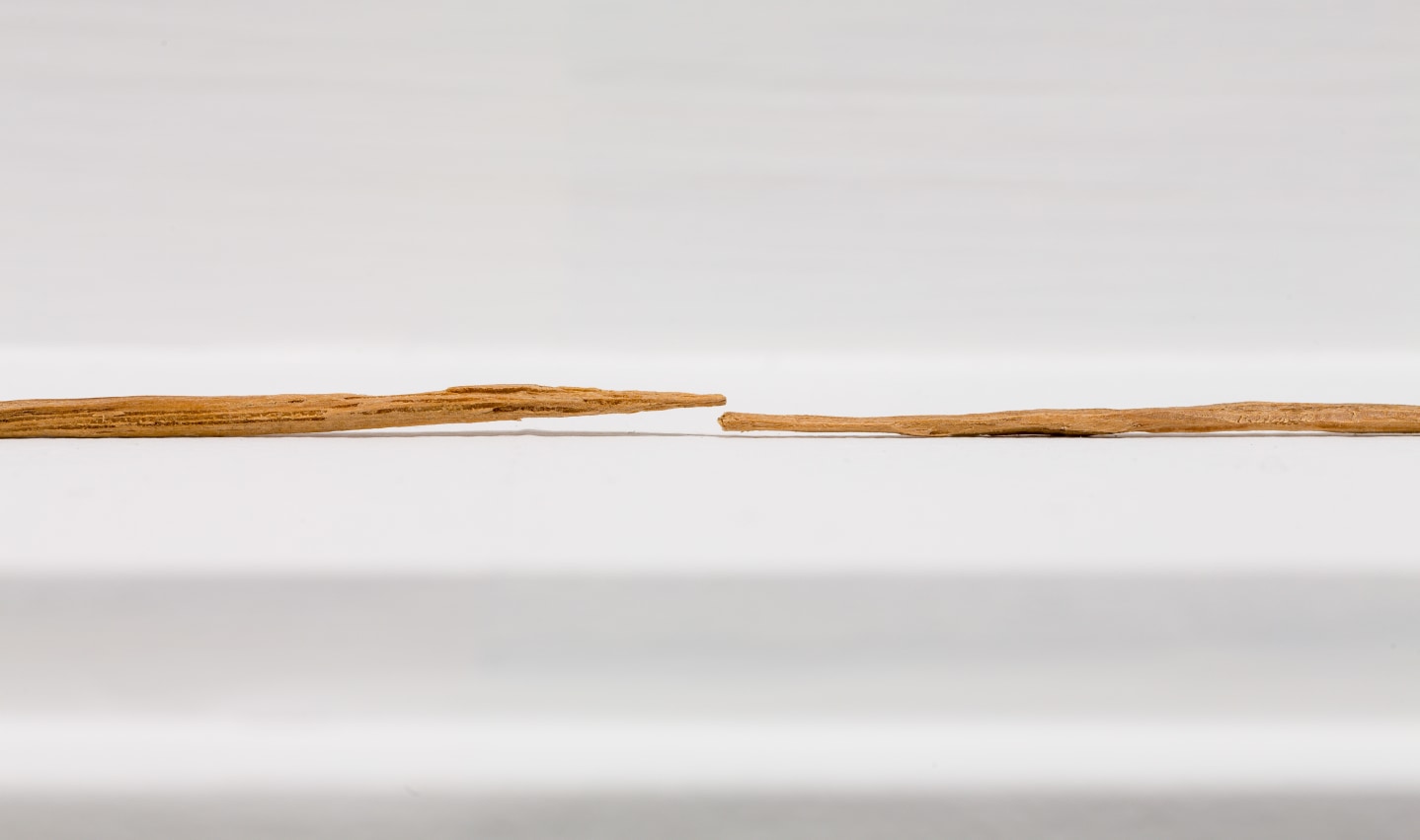 Untitled 2016 oak in 90 parts