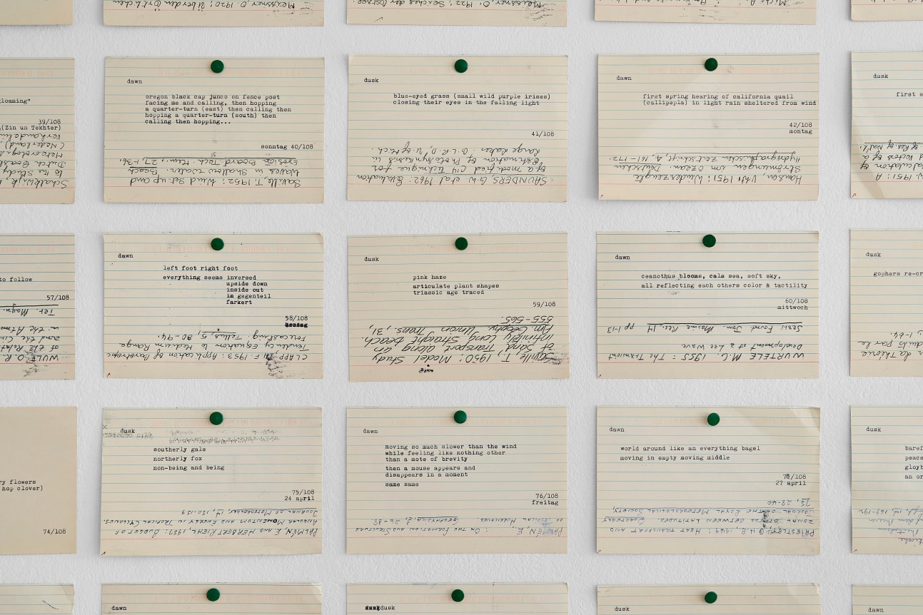 Hendl Helen Mirra, 108 postkartlz [108 postcard], detail