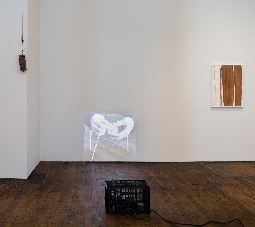 Silvia Bächli / Eric Hattan: between windows – installation view 9