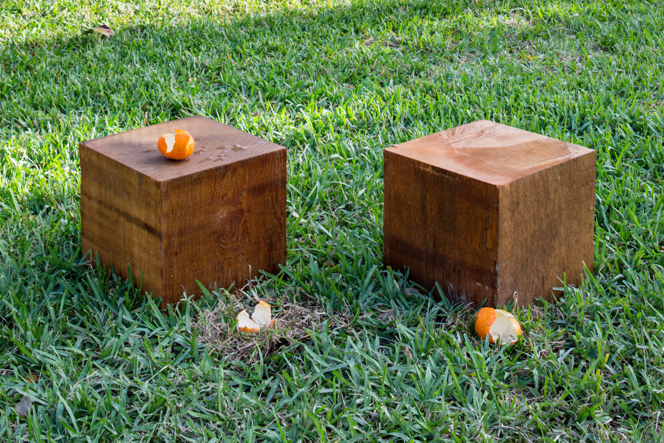 Untitled (Park Installation) (detail), 2016