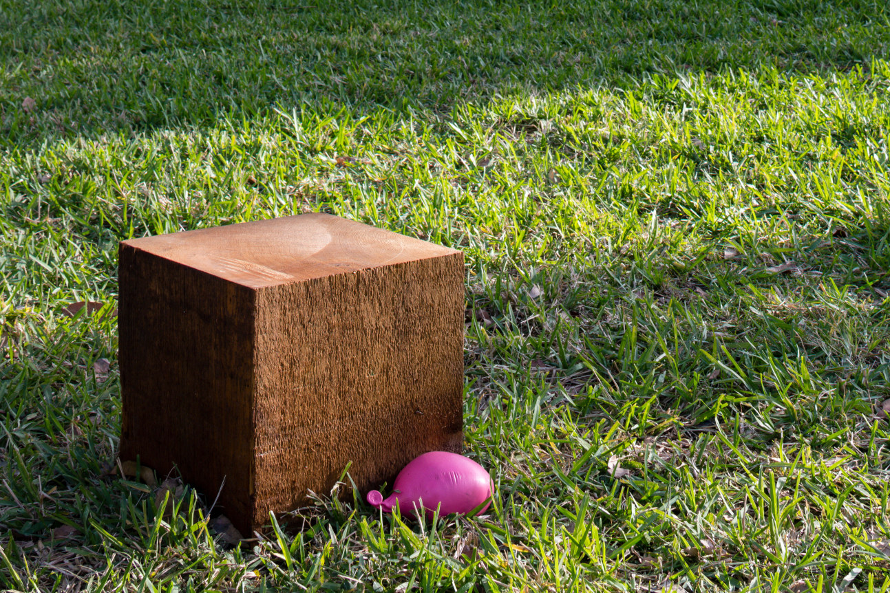 Untitled (Park Installation) (detail), 2016