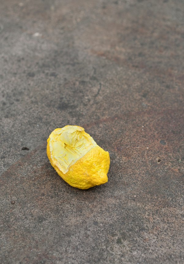 David Adamo, Bielefelder Kunstverein, Bielefeld