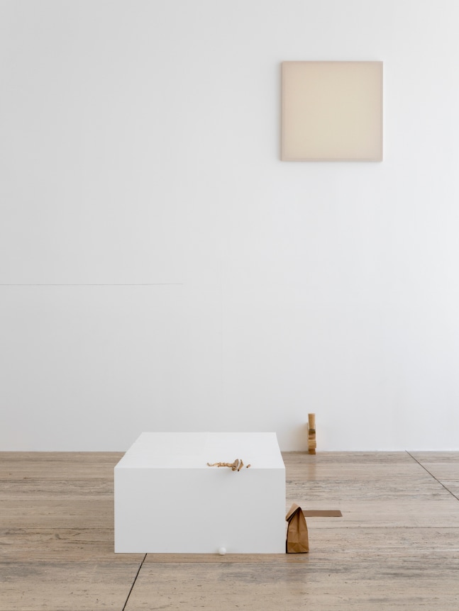 Fernanda Gomes, Museo Jumex, Mexico City