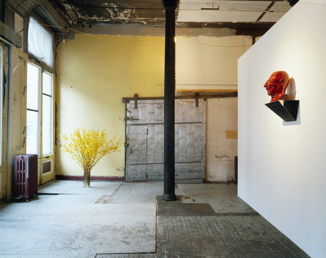 New Work, Peter Freeman, Inc., New York