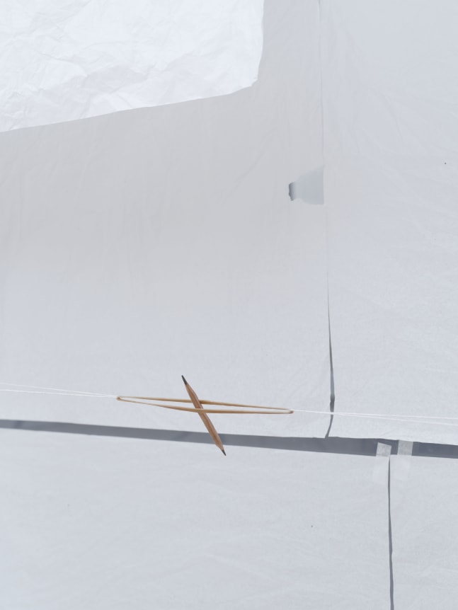 Fernanda Gomes, installation view