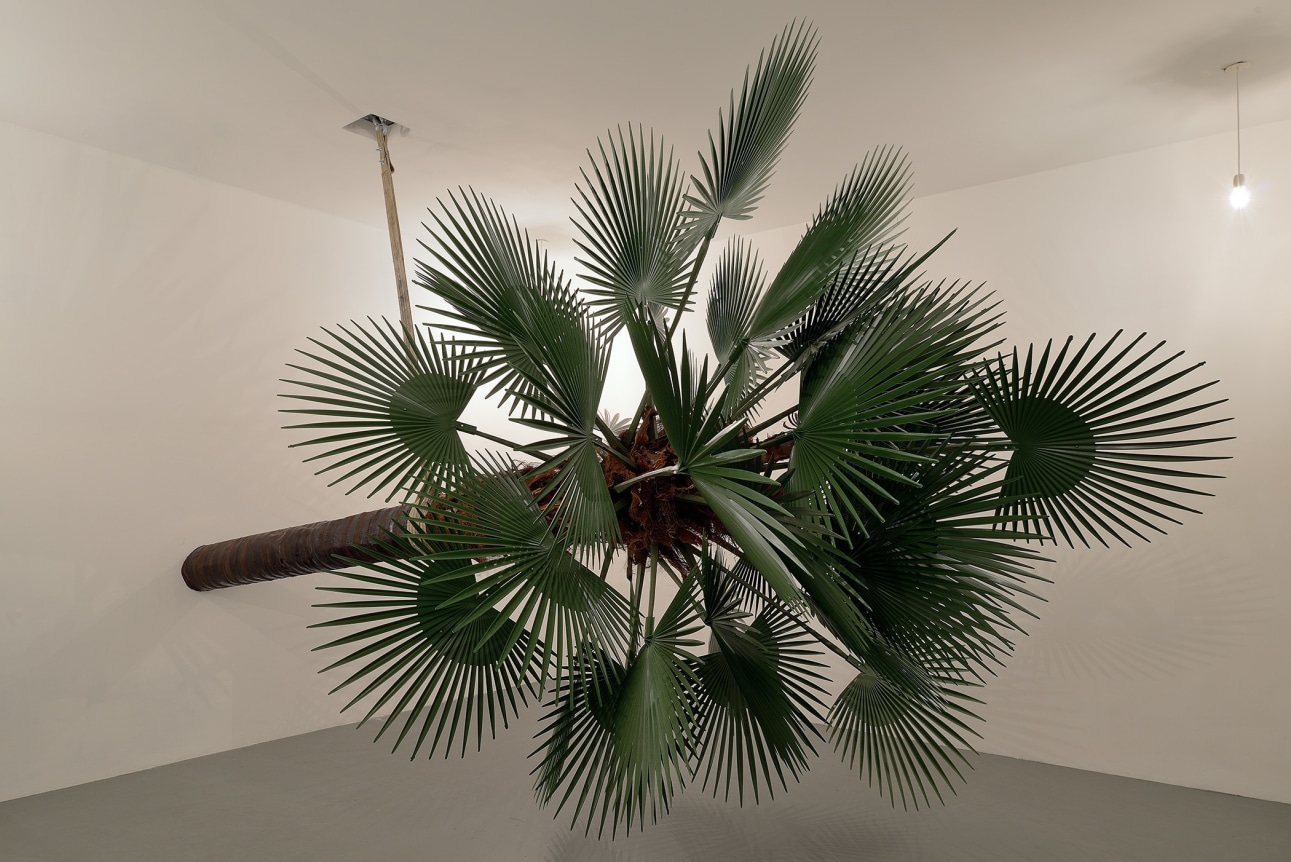 Mimetica, 2016