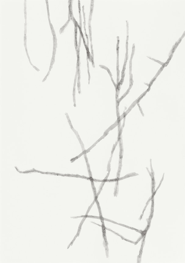 Silvia Bächli Untitled