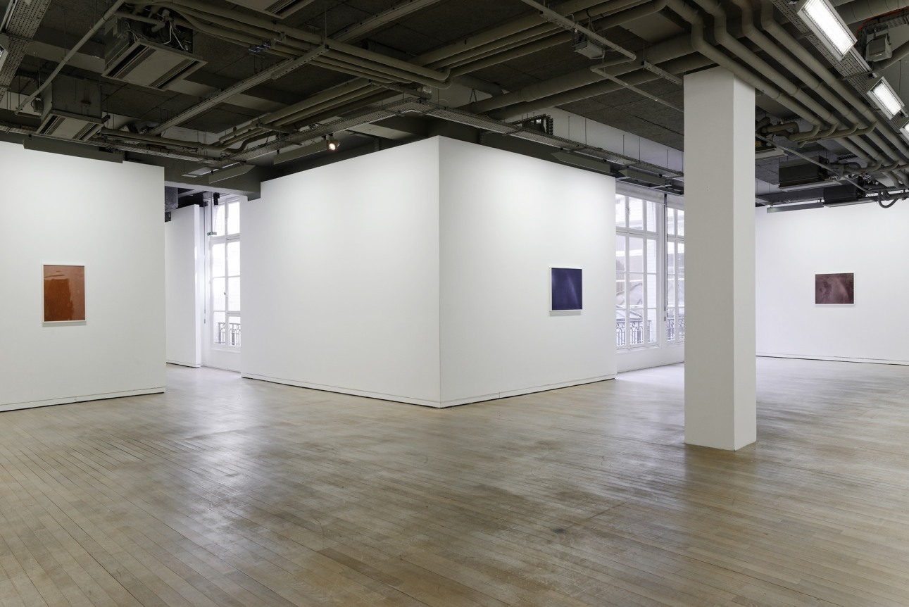 Mea culpa d'un sceptique, Curated by Kate Macfarlane