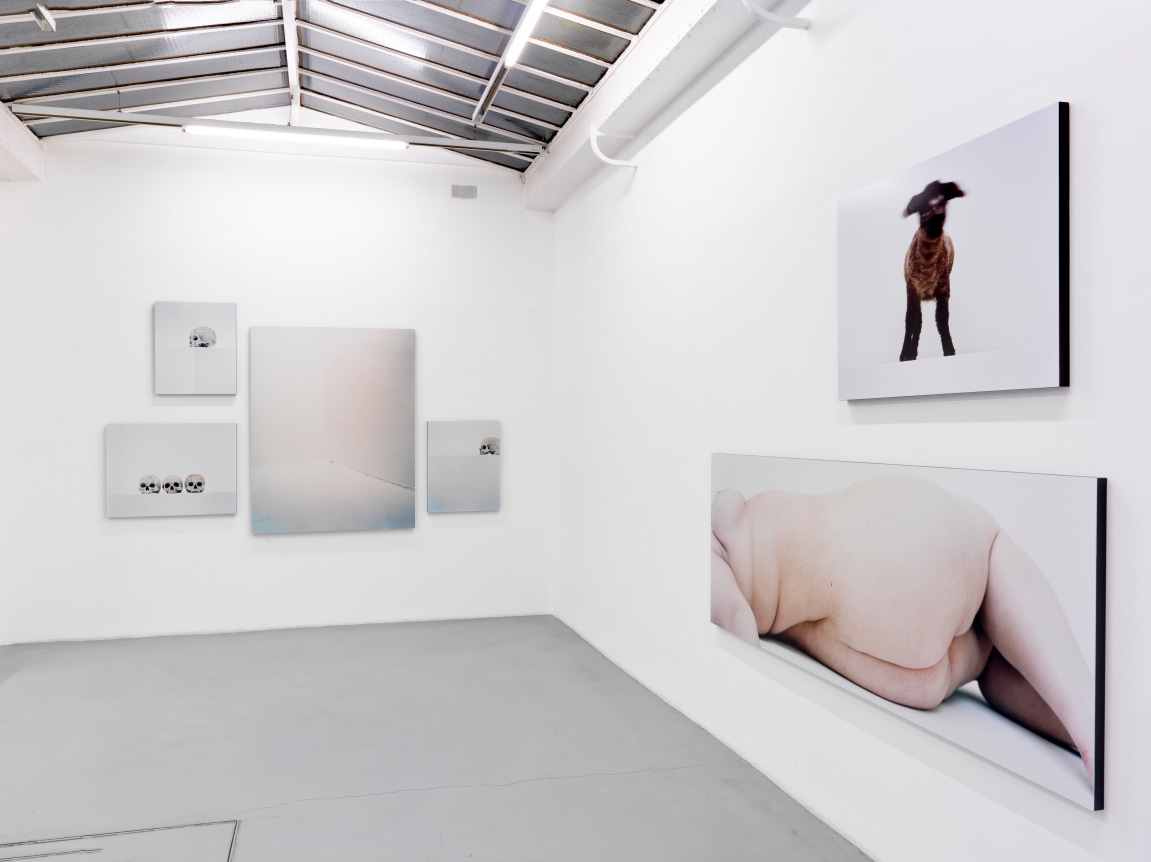 Eric Poitevin &ndash; installation view 5