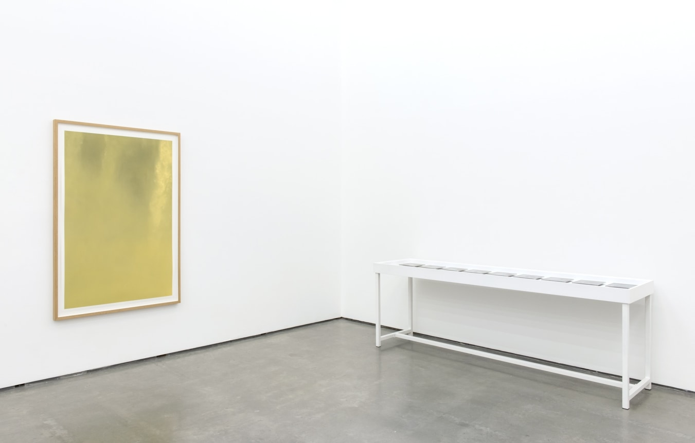 Dove Allouche | Negative Capability, The Contemporary Art Gallery, Vancouver, Canada 