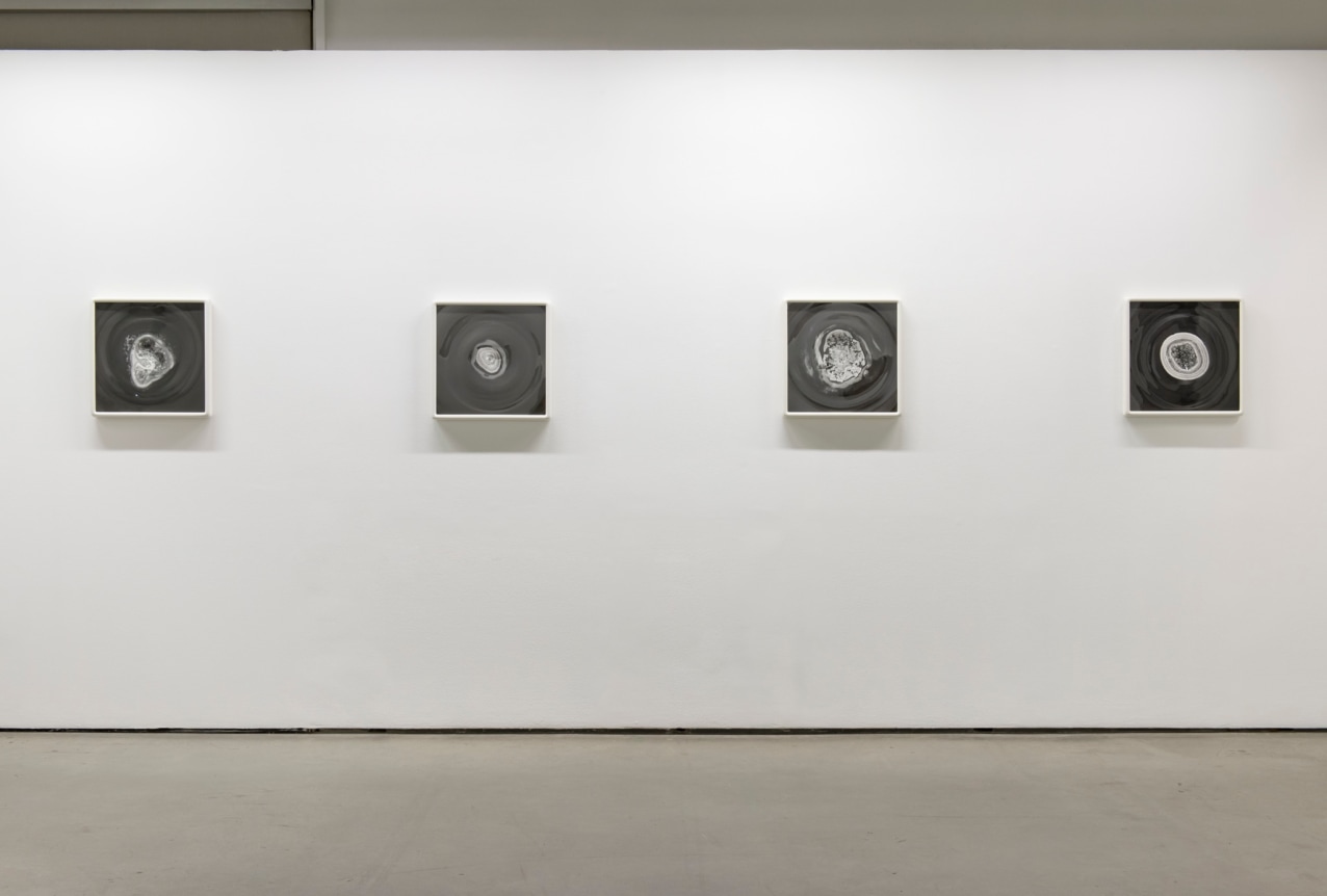 Dove Allouche | Negative Capability, The Contemporary Art Gallery, Vancouver, Canada 