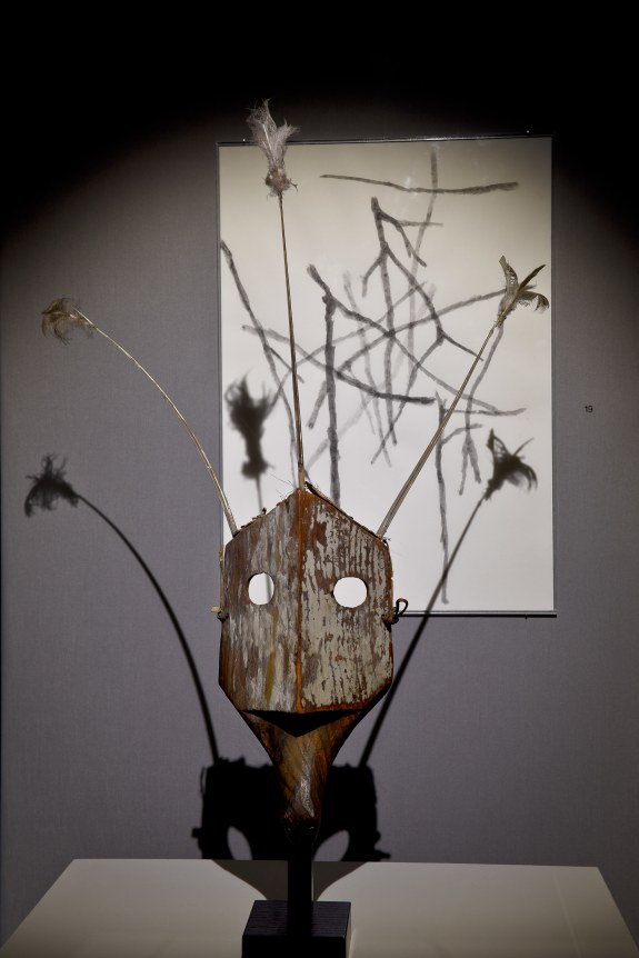 Faraway Arts, So Close in Silvia Bächli’s Eyes, Musée Barbier-Mueller, Geneva