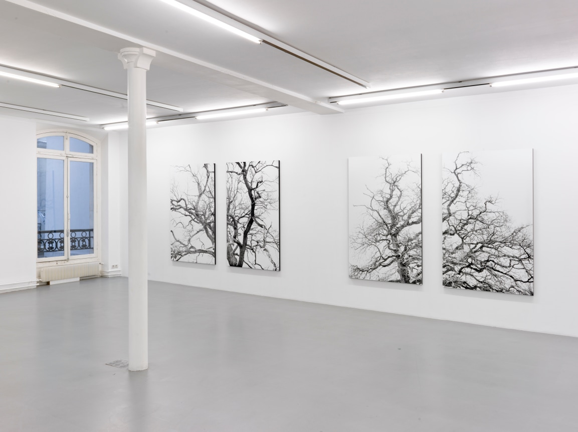 Eric Poitevin &ndash; installation view 8