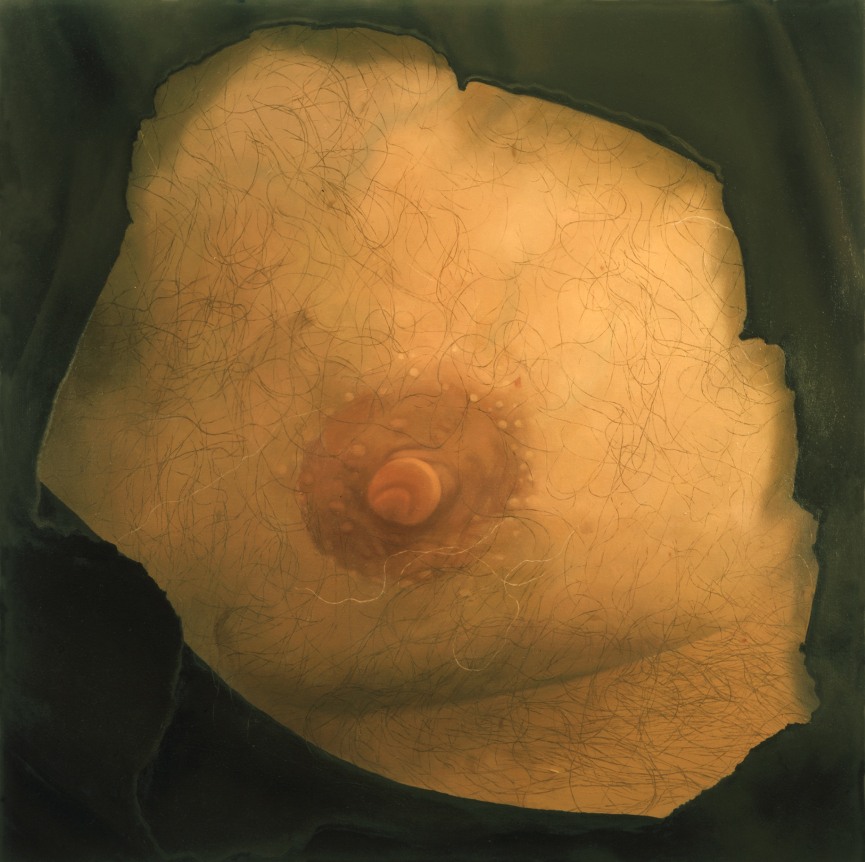 Harry's Nipple, 2003