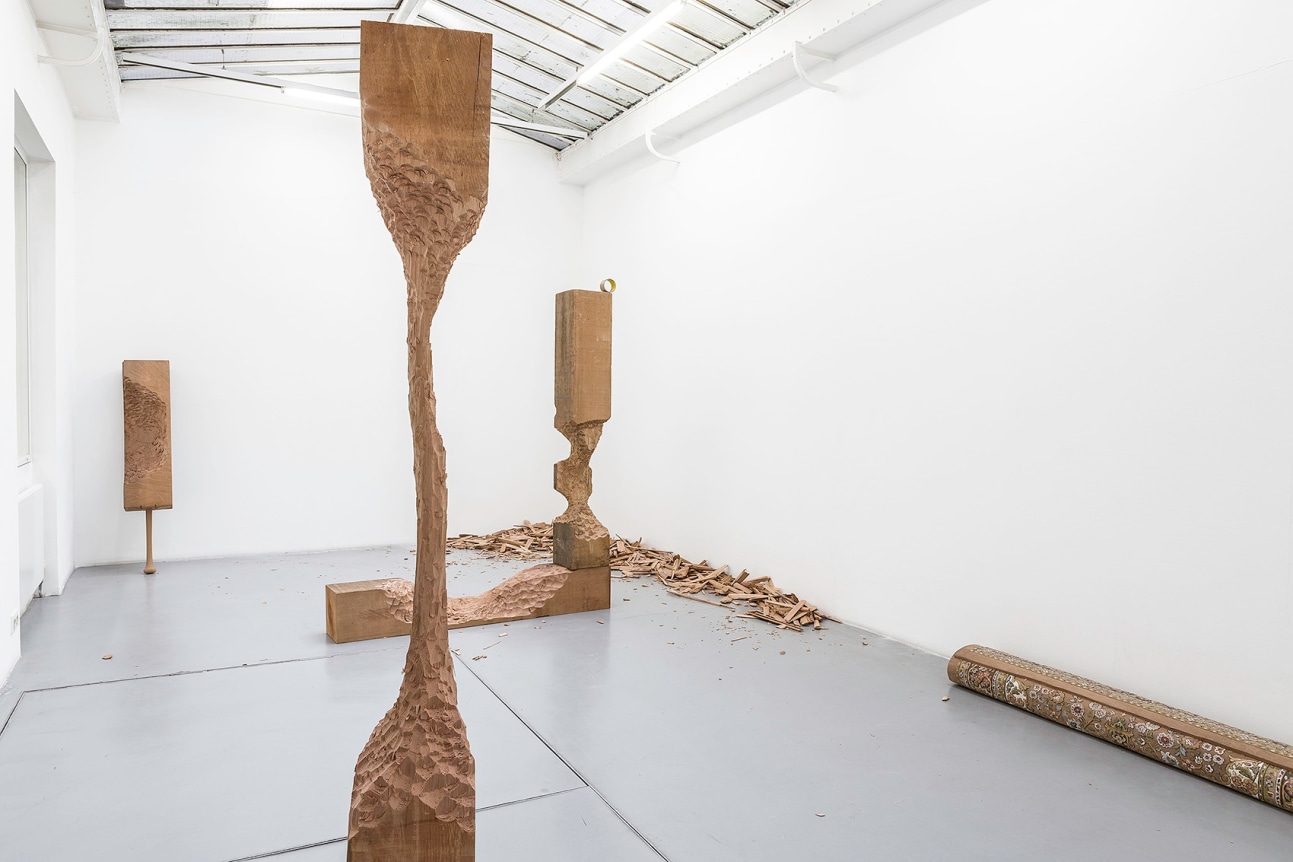 David Adamo, Galerie Nelson-Freeman, Paris. 