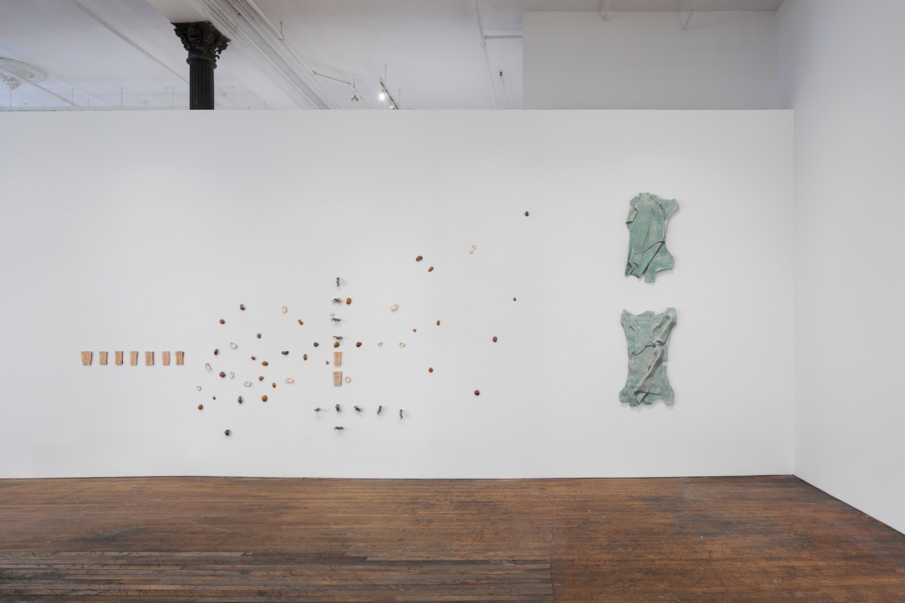 Lucy Skaer: Stacks and Ledgers