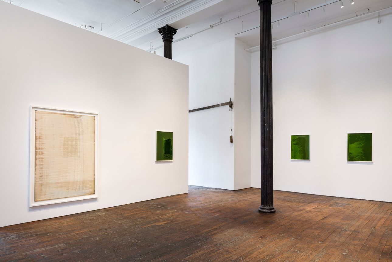 Le beau danger, Peter Freeman, Inc., New York
