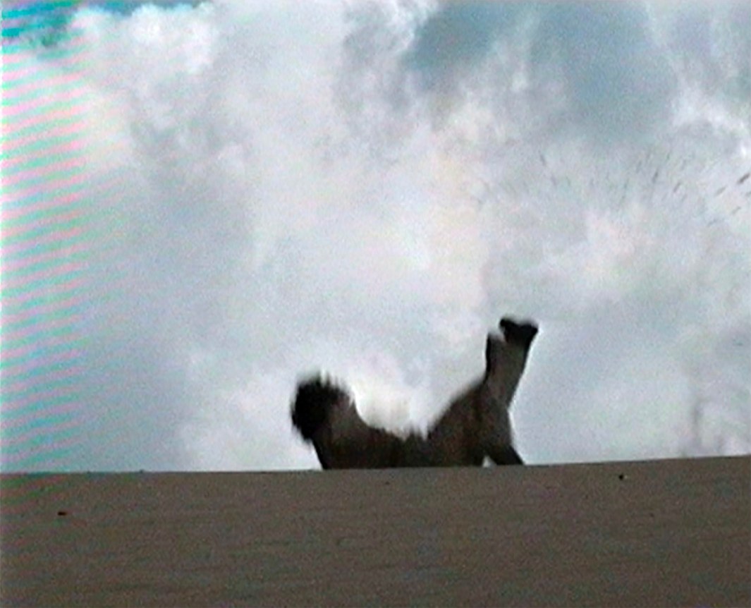 Slapstick (still) 1998 endless video