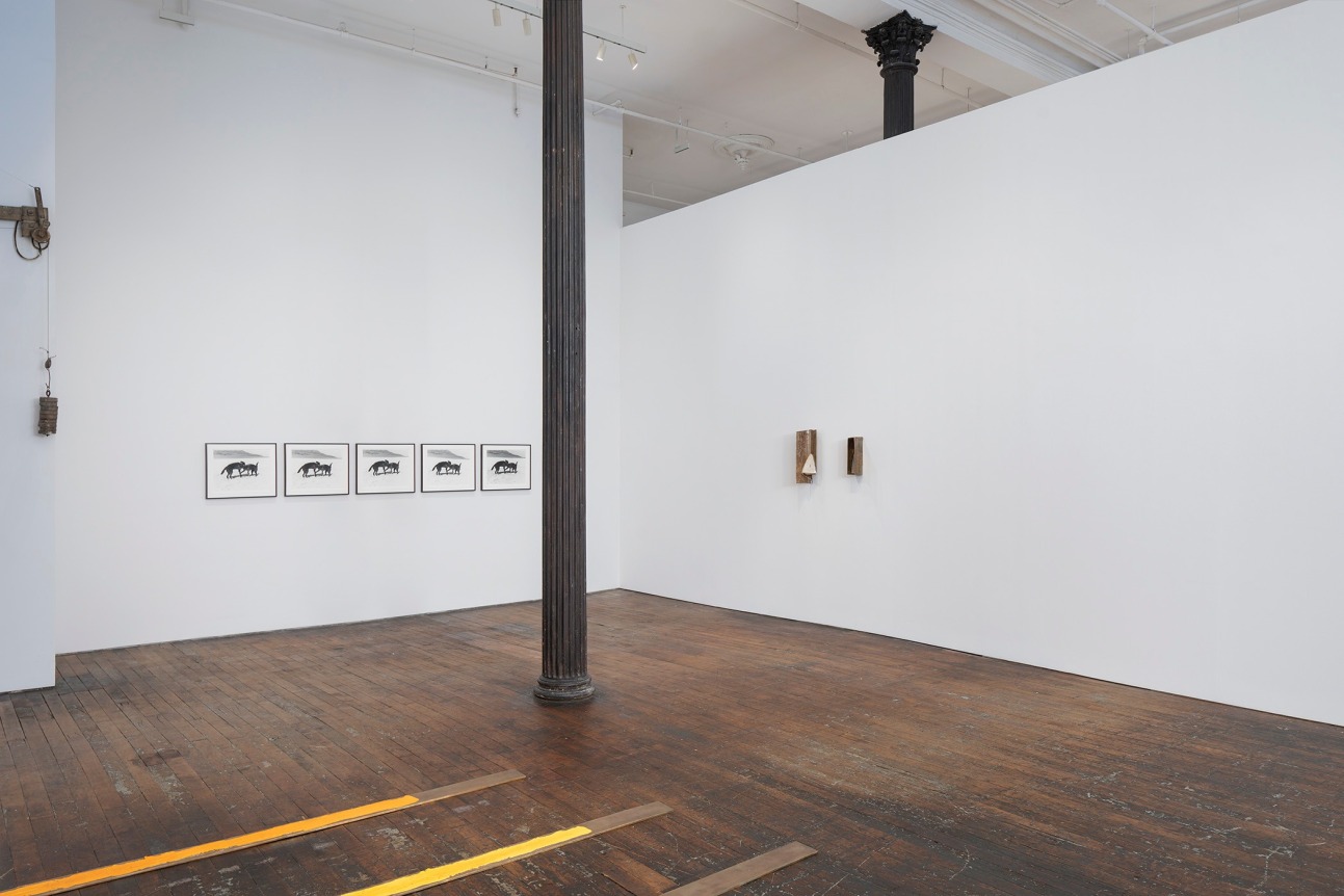 Lucy Skaer: Stacks and Ledgers