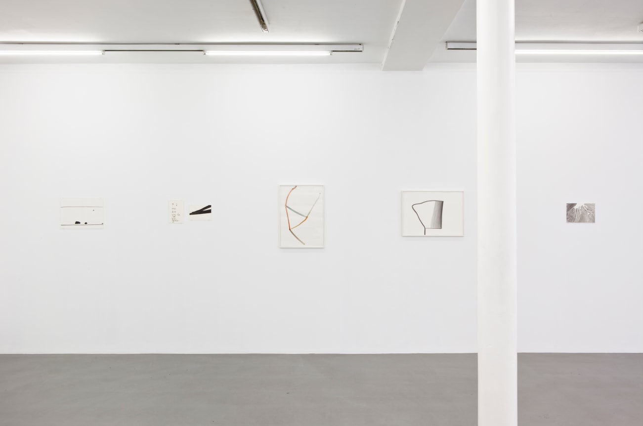 Silvia Bächli, Peter Freeman, Inc., Paris