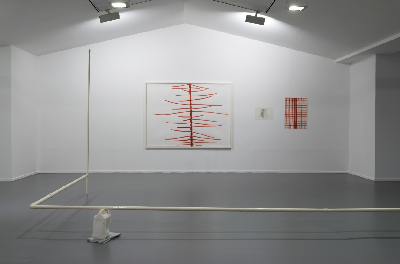 Silvia Bächli & Eric Hattan: Situer la différence, Centre culturel suisse, Paris