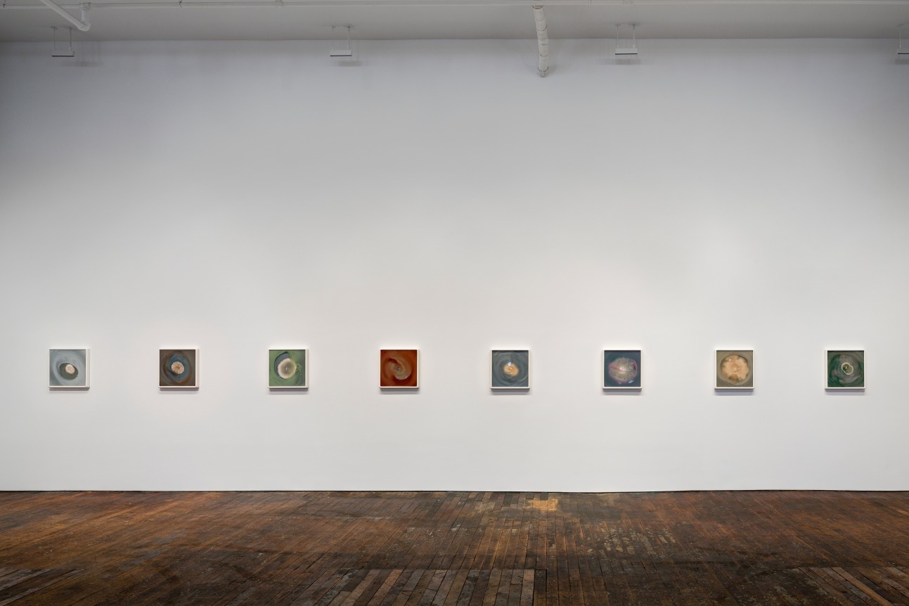 Le beau danger, Peter Freeman, Inc., New York