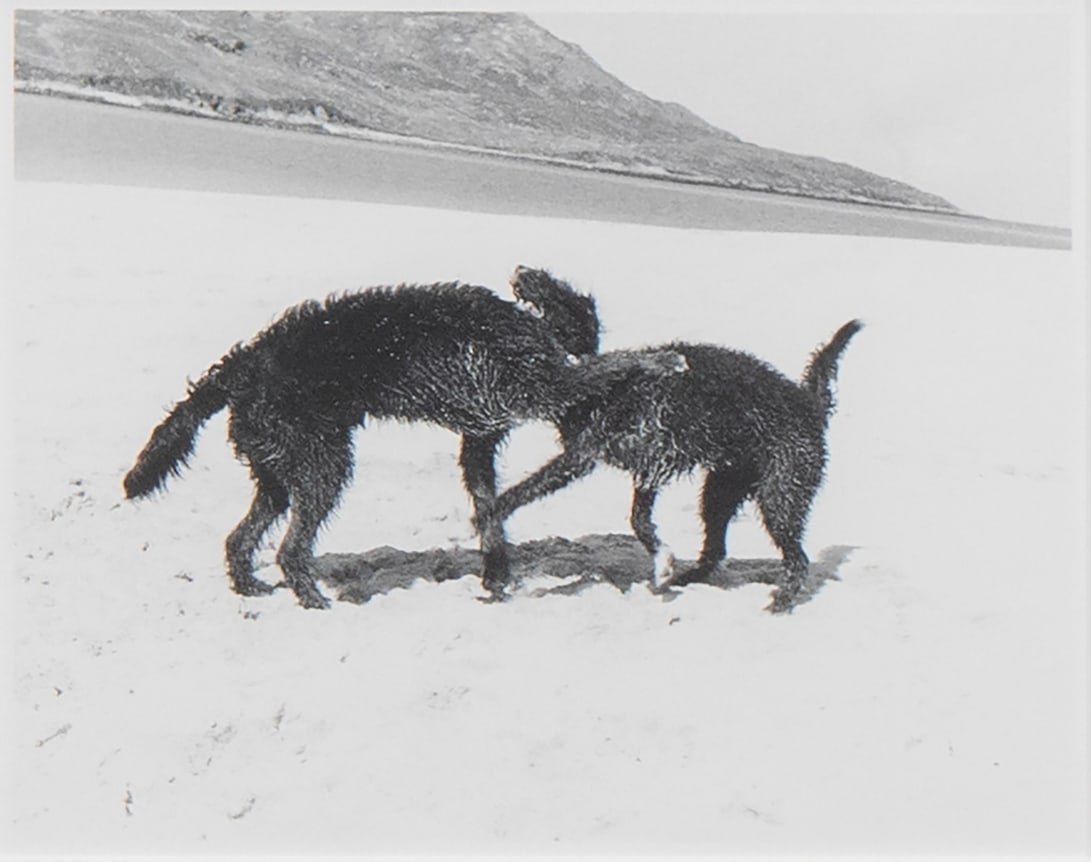 Strike, Strike, Struck, detail