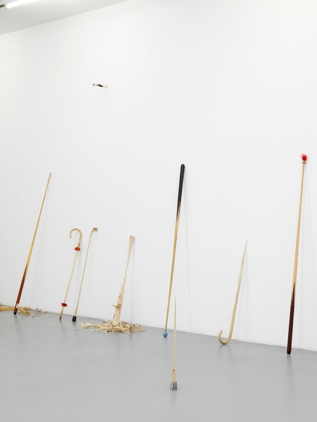 Ania Soliman - David Adamo, Galerie Nelson-Freeman, Paris. 