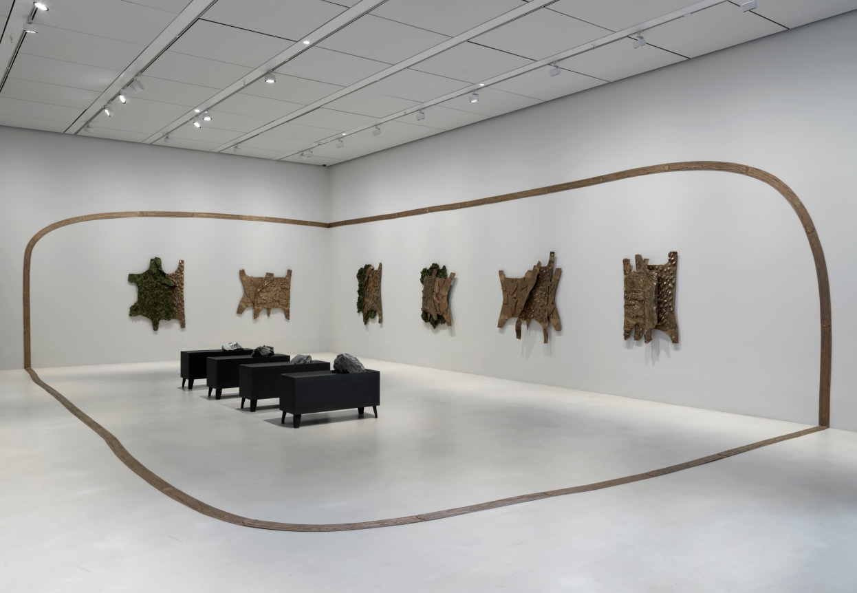 Lucy Skaer: Forest on Fire