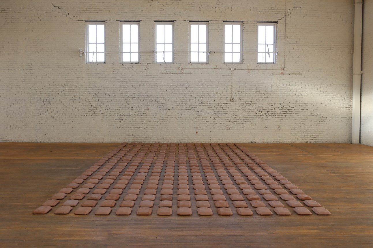 Lucy Skaer, Curated by Hope Svenson