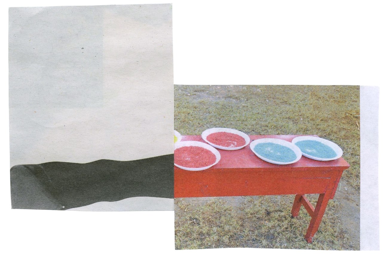 Silvia Bächli & Eric Hattan: Situer la différence, Centre culturel suisse, Paris