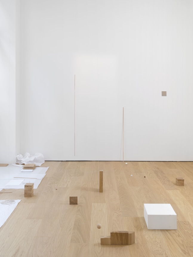 Fernanda Gomes, installation view