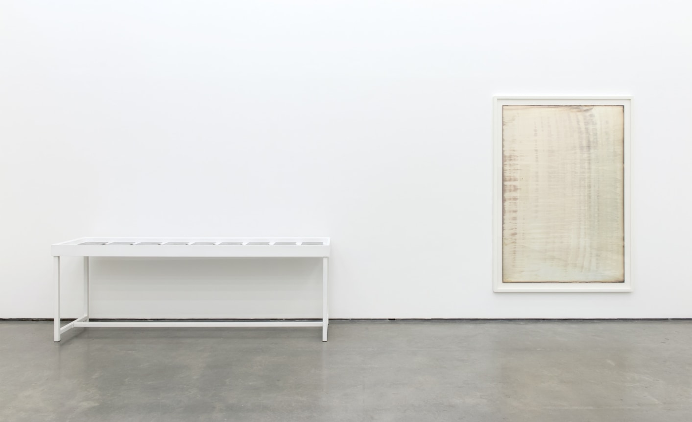 Dove Allouche | Negative Capability, The Contemporary Art Gallery, Vancouver, Canada 