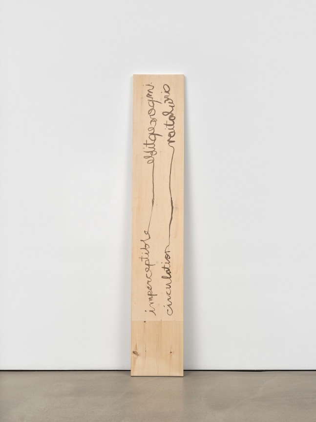Hendl Helen Mirra, imperceptible circulation