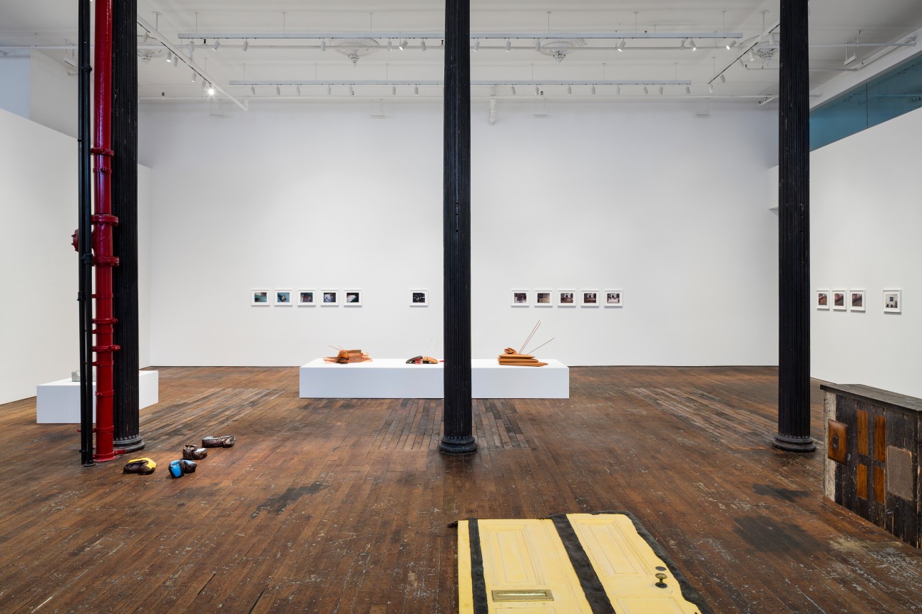 Lucy Skaer: Sentiment, Peter Freeman, Inc., New York. 