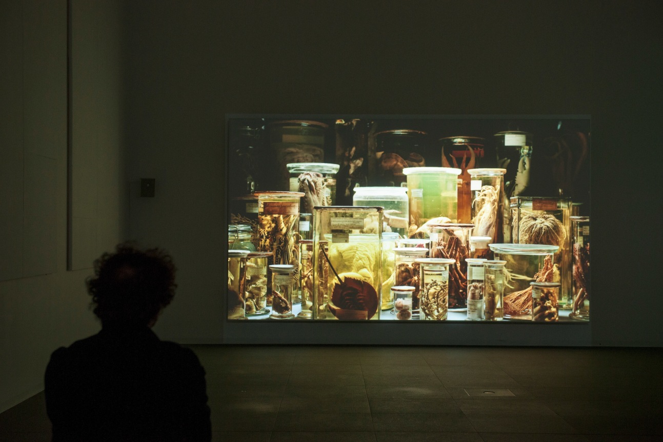 L'Archive des ombres / Shadow Archive