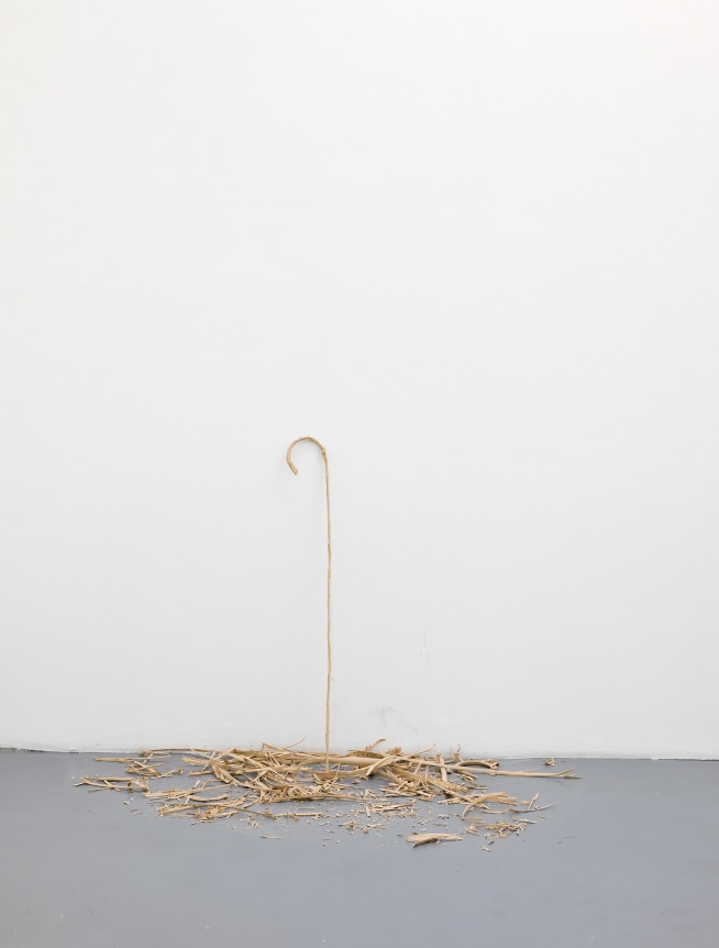 Ania Soliman - David Adamo, Galerie Nelson-Freeman, Paris. 