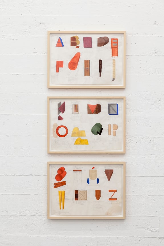 The Body Decides, Wiels, Brussels.