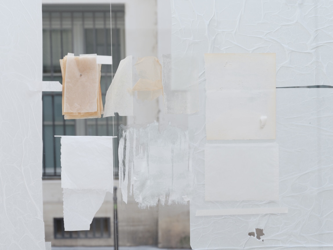 Fernanda Gomes, installation view