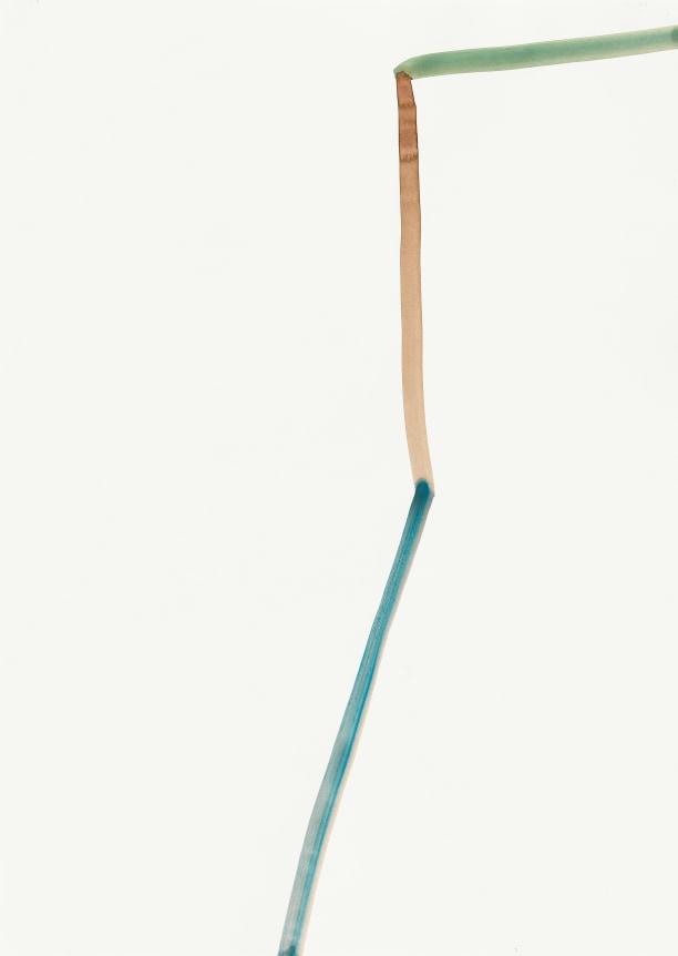 Silvia Bächli Untitled